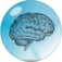 Brainclinics logo