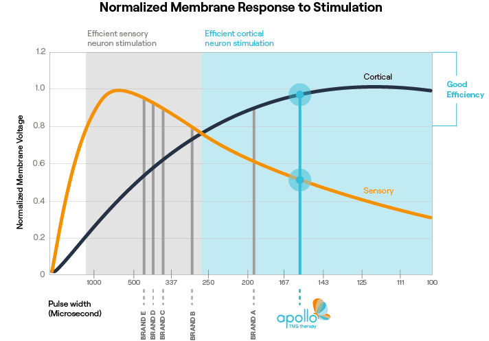 membrane-response-to-stimulation-comparison (2)