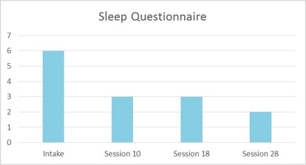 Questionnaire Johan