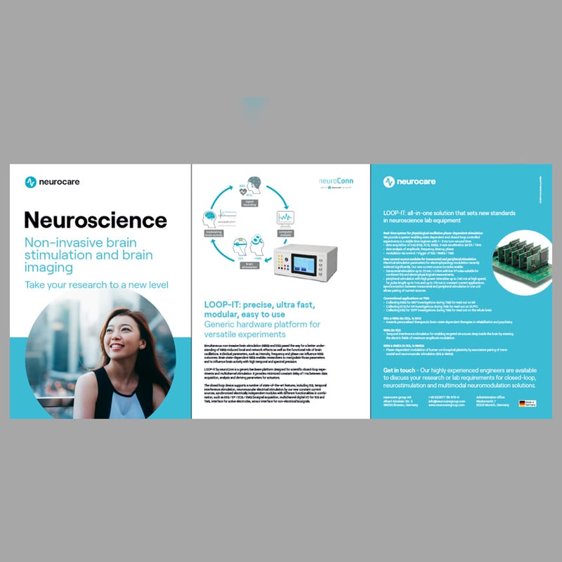 thumbnail_loop-it-neuroscience-3 pages-2